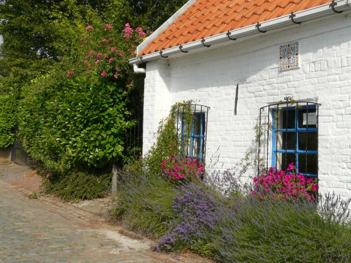 La Quitapenas Βίλα Ronse Εξωτερικό φωτογραφία